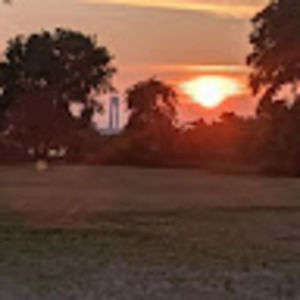 Meet your Posher, Gennaro